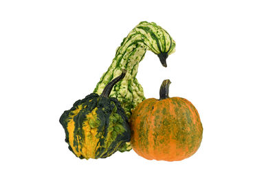 Close-up of pumpkin against white background