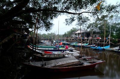 Boats moored in sea