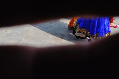 High angle view of flower