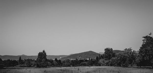 Scenic view of landscape against clear sky