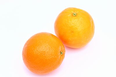 Close-up of orange eggs against white background