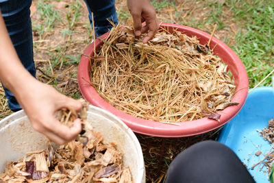 High angle view of person preparing food