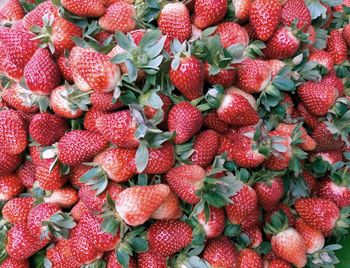 Full frame shot of strawberries