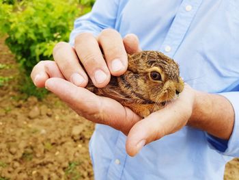 Alentejo wildlife