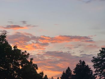 Low angle view of silhouette trees against sky during sunset