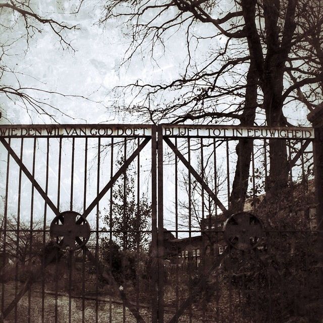 sky, metal, fence, protection, safety, low angle view, built structure, chainlink fence, architecture, security, metallic, tree, pattern, cloud - sky, day, silhouette, no people, outdoors, building exterior, gate