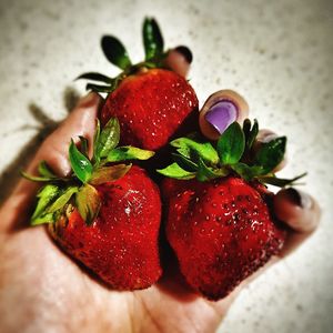 Close-up of strawberries