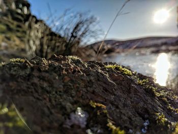 Close-up of rocks against sky