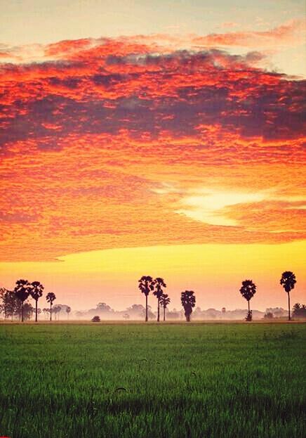 sunset, sky, tranquil scene, scenics, tranquility, beauty in nature, landscape, orange color, cloud - sky, nature, grass, field, idyllic, tree, cloud, growth, cloudy, dramatic sky, plant, non-urban scene