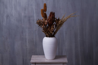 Dying plant in white vase. studio shoot