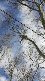 Low angle view of bare tree against sky