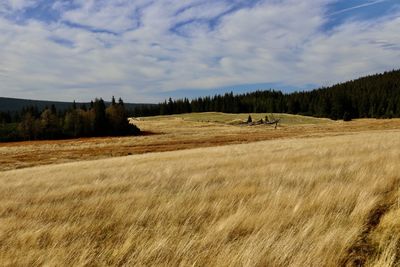 Scenic view of field against sky