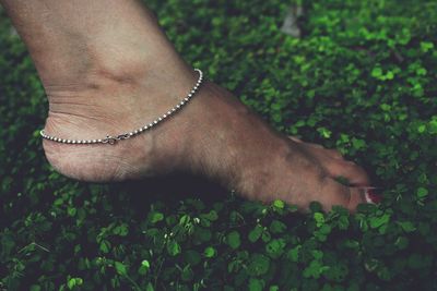 Low section of woman wearing anklet in foot on plant