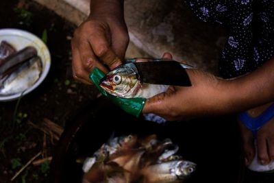 Close-up of hand cutting fish at market