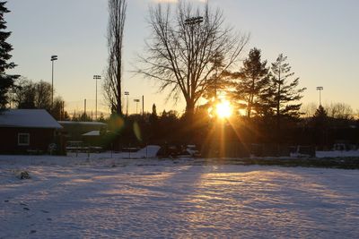 Snow covered houses and trees against sky during sunset