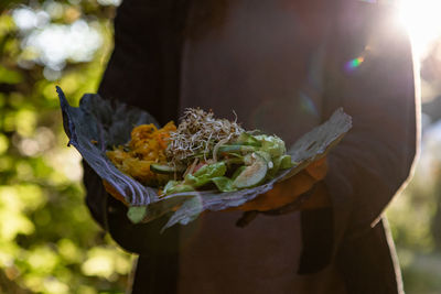 Close-up of person holding leaf