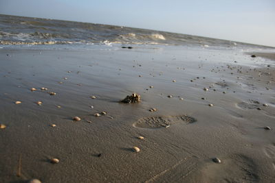 Scenic view of beach against sky