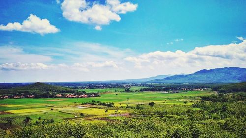 Scenic view of agricultural field against sky