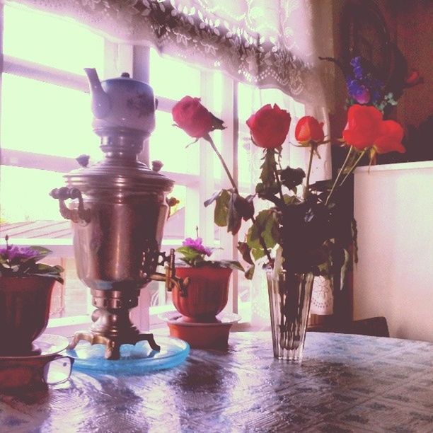indoors, vase, flower, home interior, table, window, decoration, glass - material, potted plant, wall - building feature, hanging, curtain, still life, chair, no people, domestic room, flower pot, house, rose - flower, flower arrangement