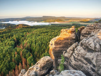 Rocky mountains above landscape covered with green forest in clear summer daybreak. landscape of fog