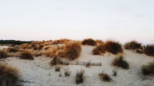 Scenic view of desert against sky