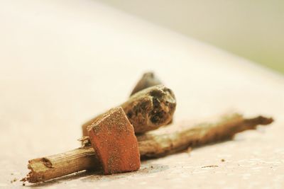 Close-up of wood on surface