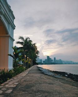 Street by palm trees and buildings against sky during sunset