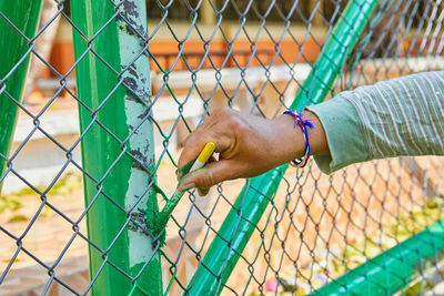 Cropped hand of woman holding chainlink fence