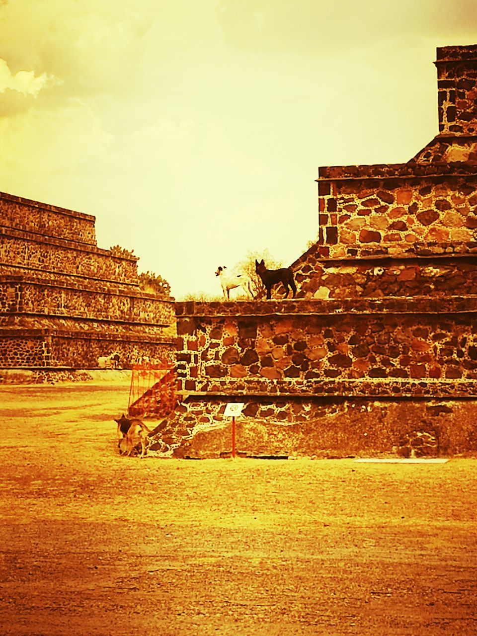 VIEW OF OLD RUINS