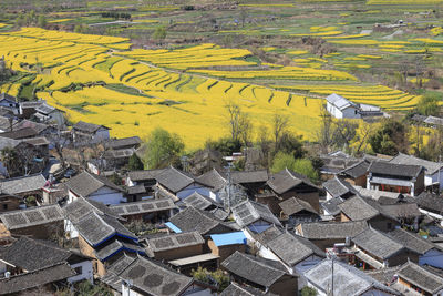 Aerial view of agricultural field