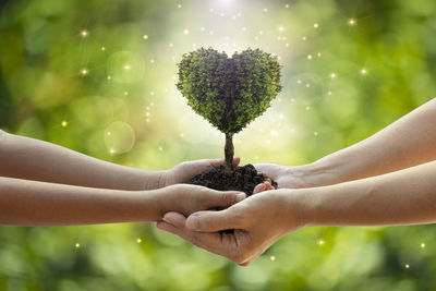 Close-up of woman holding leaf against tree