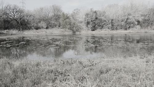 Scenic view of lake