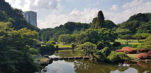 Scenic view of lake by trees against sky