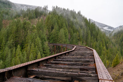 Scenic view of forest against sky