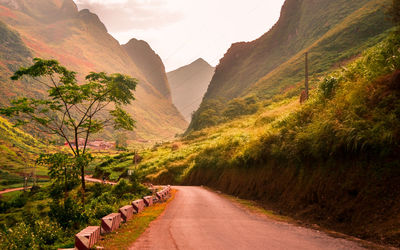 Road amidst trees and mountains against sky