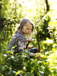 Girl in forest picking berries