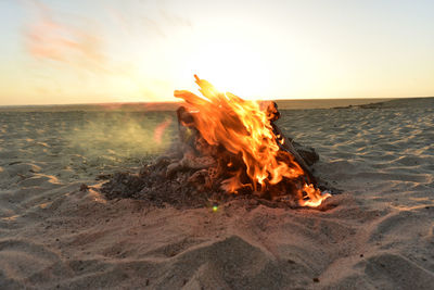 Driftwood fire burning on beach in baja, mexico