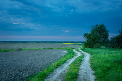 Scenic view of agricultural field against sky