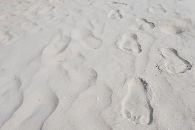 High angle view of wet sand