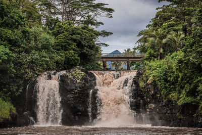 View of waterfall in forest