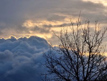 Low angle view of silhouette bare tree against sky during sunset