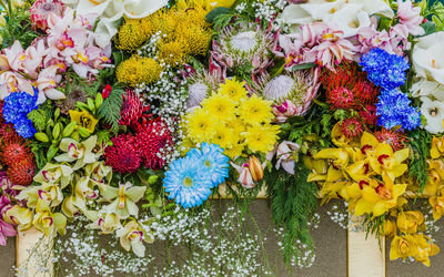 High angle view of multi colored flowering plants in market