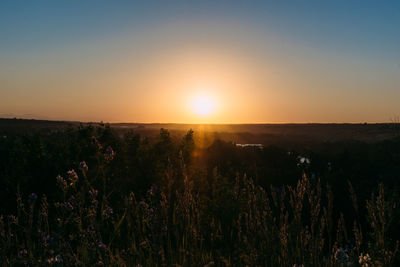 Scenic view of field against clear sky during sunset