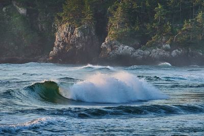 Sea waves splashing on shore