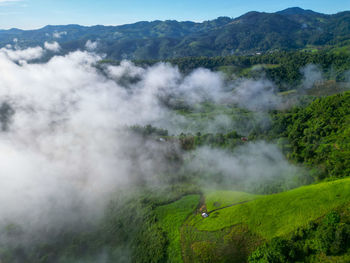 environment