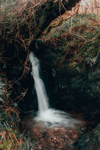 Scenic view of waterfall in forest