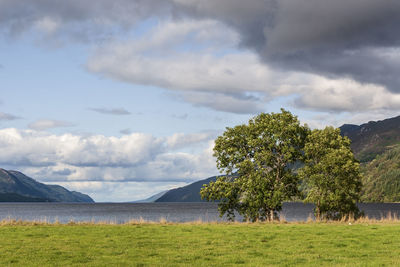 Scenic view of land and trees against sky