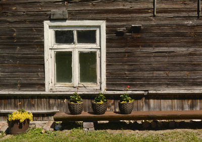 Potted plants outside house