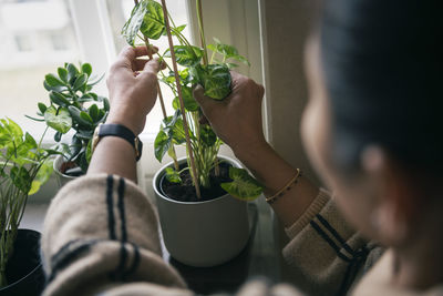 Woman planting potted plants at home
