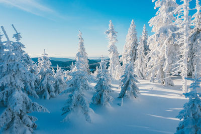 Snow covered landscape against sky